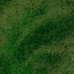 Satellite imagery of Cedar Ridge, US