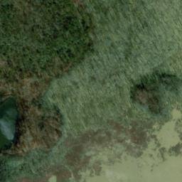 Satellite imagery of Gullet Ridge, US