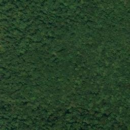Satellite imagery of Neeley Point, US