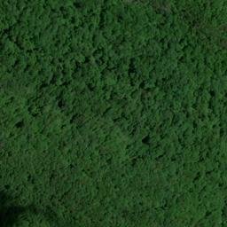 Satellite imagery of Huckleberry Point, US