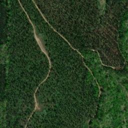 Satellite imagery of Todd Ridge, US