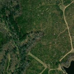 Satellite imagery of Cook Bluff, US