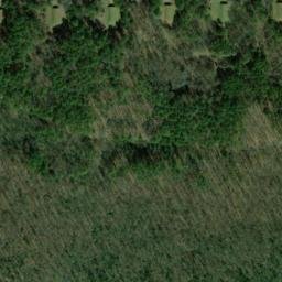 Satellite imagery of Lehmans Bluff, US