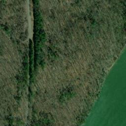 Satellite imagery of Bell Bluff, US