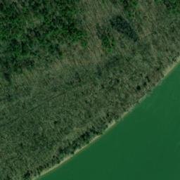 Satellite imagery of Bell Bluff, US