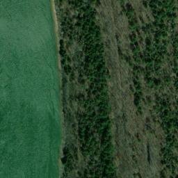 Satellite imagery of Coffee Bluff, US
