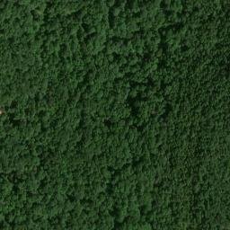 Satellite imagery of Taylor Ridge, US
