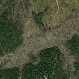 Satellite imagery of Chinquapin Ridge, US
