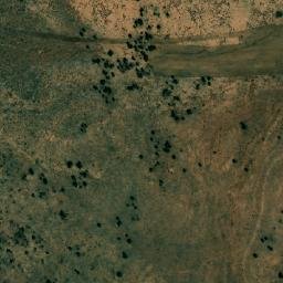 Satellite imagery of Sedjeret Arbia, DZ
