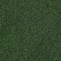 Satellite imagery of Black Bluff, US
