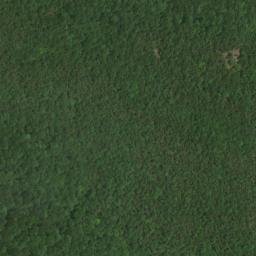 Satellite imagery of Black Bluff, US