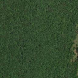 Satellite imagery of Black Bluff, US