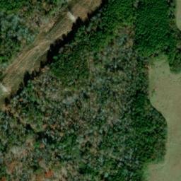Satellite imagery of Godwin Point, US