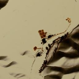 Satellite imagery of Sar-e Chījī, AF