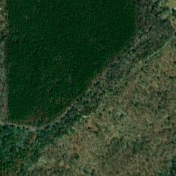Satellite imagery of Troup Point, US