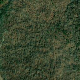 Satellite imagery of Troup Point, US