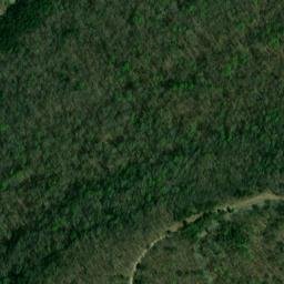Satellite imagery of Yellow Bluff, US