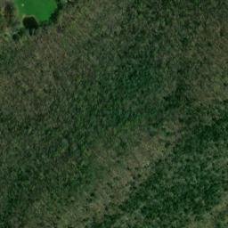 Satellite imagery of Yellow Bluff, US