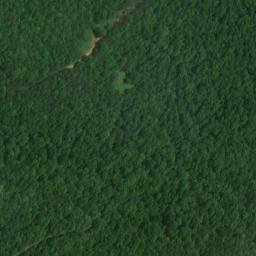 Satellite imagery of Pea Ridge, US