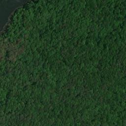 Satellite imagery of Honey Bluff, US