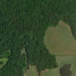 Satellite imagery of Pea Ridge, US