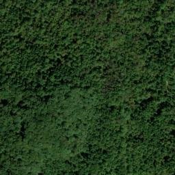 Satellite imagery of Cedar Ridge, US
