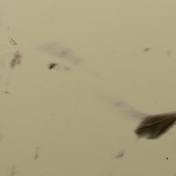 Satellite imagery of Kōh-e Kārēz, AF