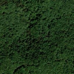 Satellite imagery of Cedar Ridge, US