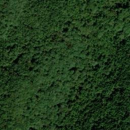Satellite imagery of Cedar Ridge, US