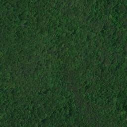 Satellite imagery of Street Bluff, US
