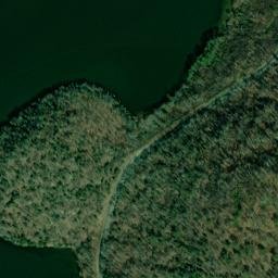 Satellite imagery of Cedar Ridge, US