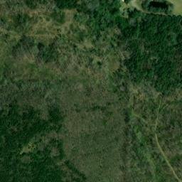 Satellite imagery of Self Mountain, US