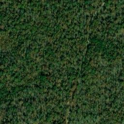 Satellite imagery of Dillashaw Mountain, US