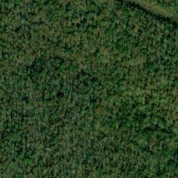 Satellite imagery of Dillashaw Mountain, US