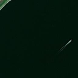 Satellite imagery of Chandler Ridge, US