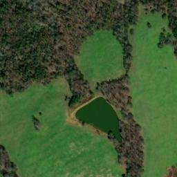 Satellite imagery of Pea Ridge, US