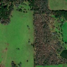 Satellite imagery of Pea Ridge, US