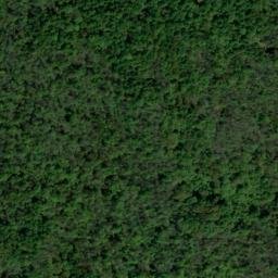 Satellite imagery of McDougal Ridge, US