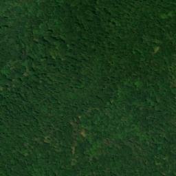 Satellite imagery of Bogan Mountain, US