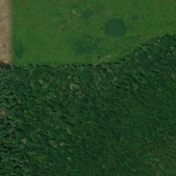 Satellite imagery of Bogan Mountain, US