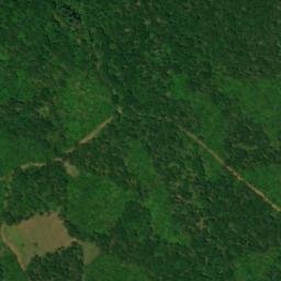Satellite imagery of Bogan Mountain, US