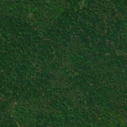 Satellite imagery of Bogan Mountain, US