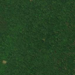 Satellite imagery of Turnip Mountain, US