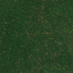 Satellite imagery of Turnip Mountain, US
