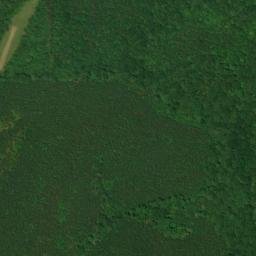 Satellite imagery of Turnip Mountain, US