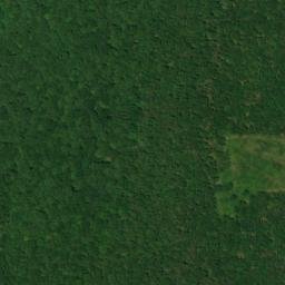 Satellite imagery of Turnip Mountain, US