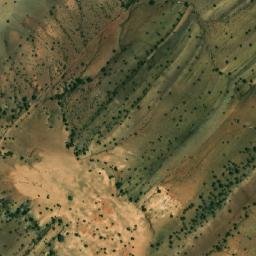 Satellite imagery of Delaat el Harcha, DZ
