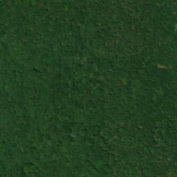 Satellite imagery of Turnip Mountain, US