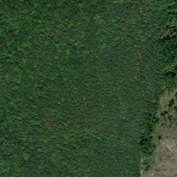 Satellite imagery of Blacks Bluff, US