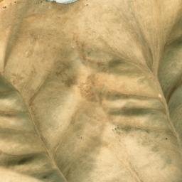 Satellite imagery of Band-e Shamshayr Sang, AF